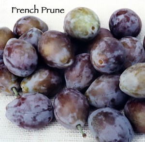 French Improved Prune